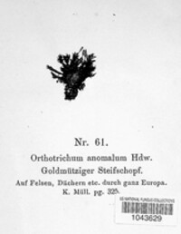Image Associated With the Occurence